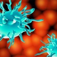 As doenças autoimunes ocorrem quando o sistema imunológico “confunde” uma parte do corpo como patógeno e começa a atacar-se a si próprio